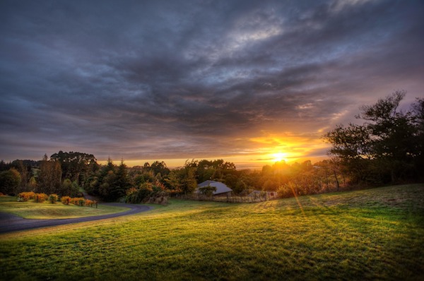 Colley Creek Farms